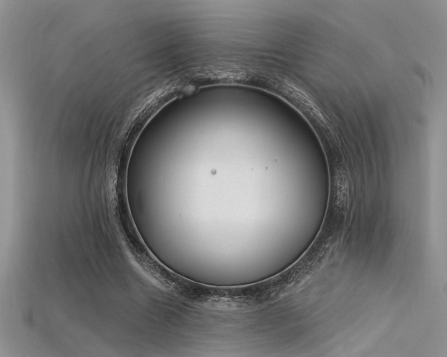 X0000115770538200911131219