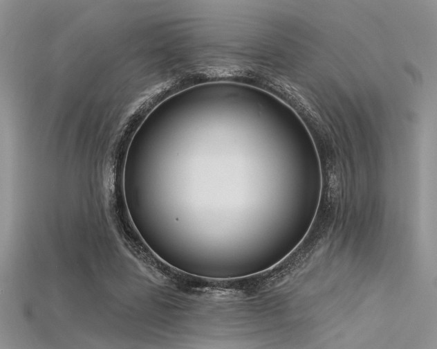 X0000115770539200911131219