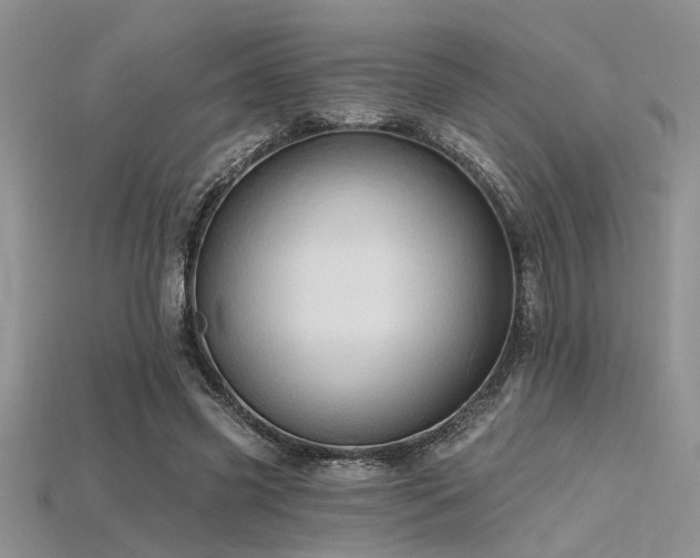 X0000115770541200911131219