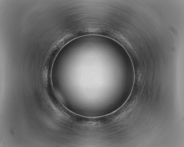 X0000115770542200911131219