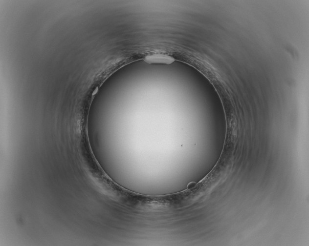 X0000115770546200911131219