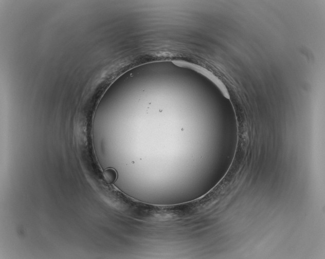 X0000115770547200911131219