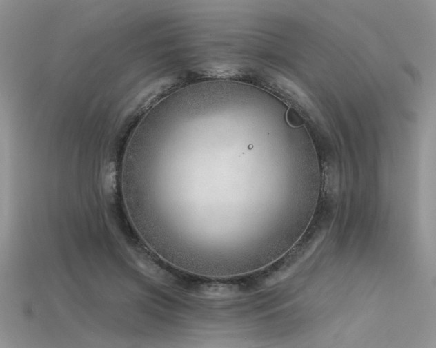 X0000115770549200911131219
