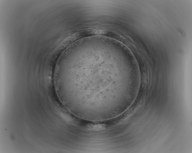 X0000115770553200911131219