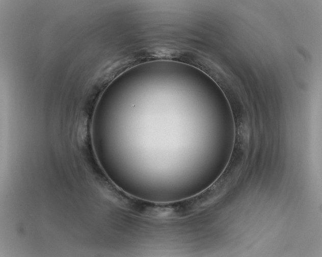 X0000115770554200911131219