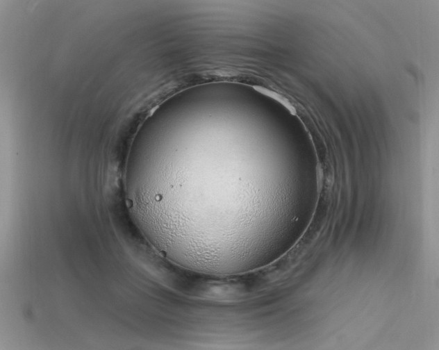 X0000115770555200911131219