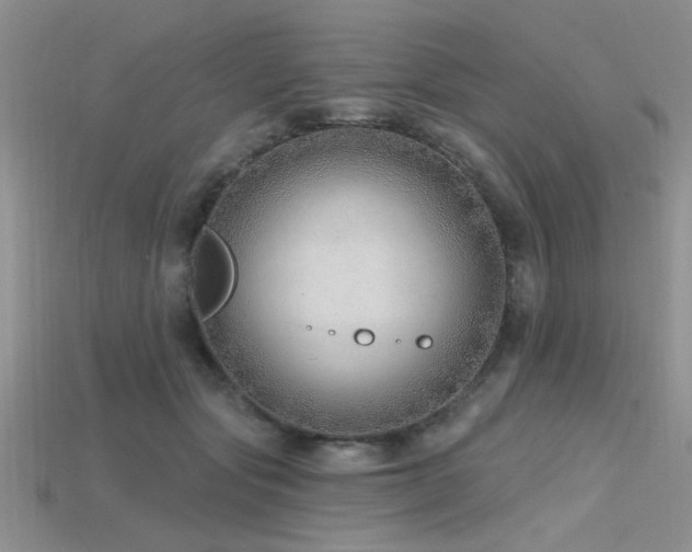 X0000115770557200911131219