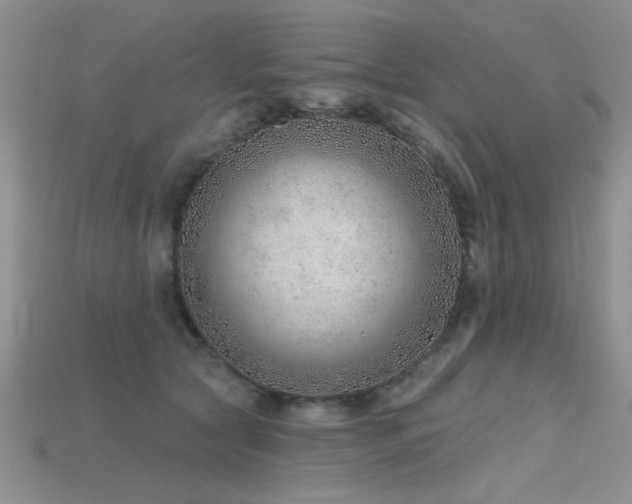 X0000115770561200911131219