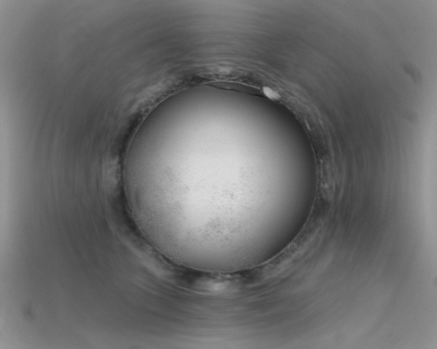 X0000115770563200911131219