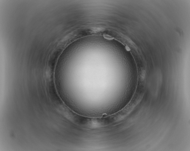 X0000115770565200911131219