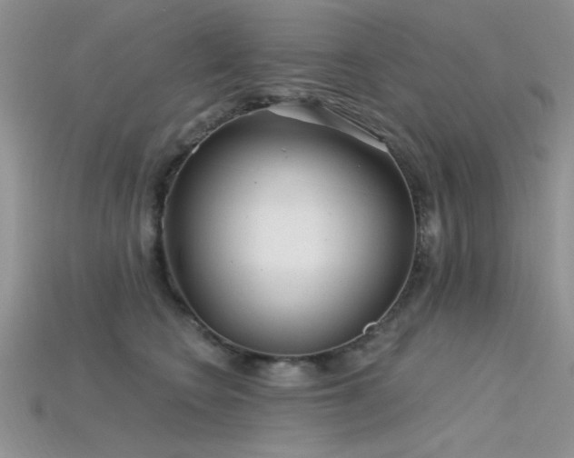 X0000115770566200911131219