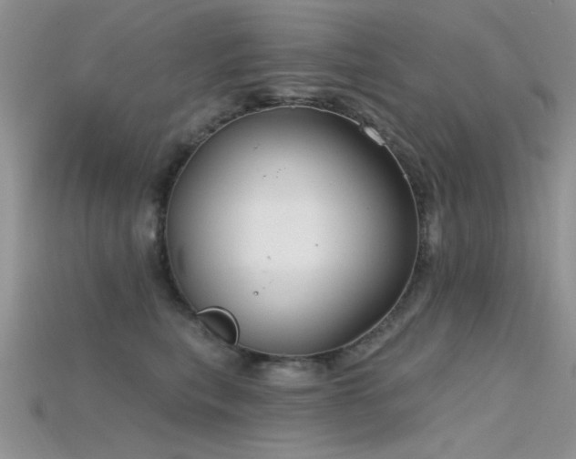 X0000115770567200911131219