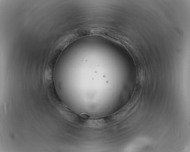 X0000115770571200911131219