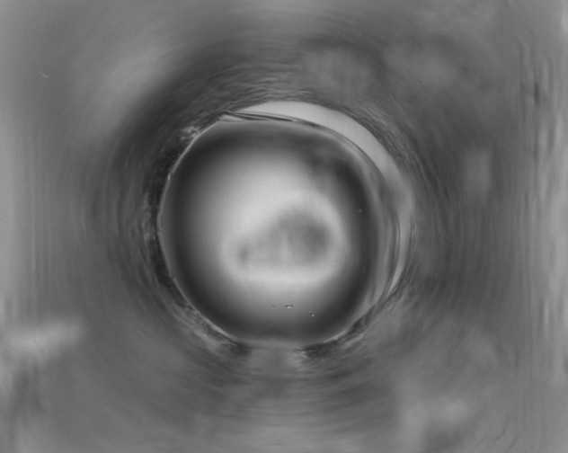 X0000115770573200911131219