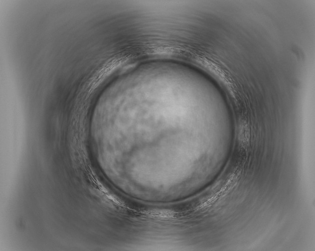 X0000115770577200911131219