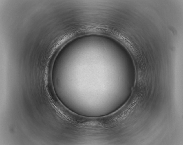 X0000115770578200911131219