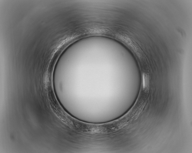 X0000115770579200911131219