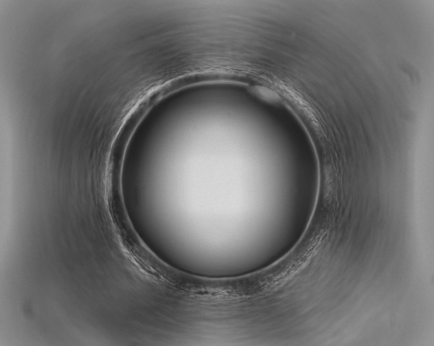 X0000115770580200911131219