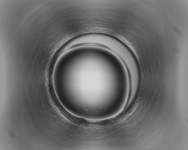 X0000115770581200911131219