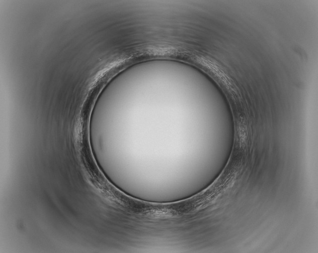X0000115770583200911131219