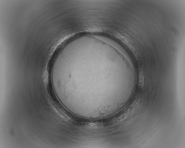 X0000115770584200911131219