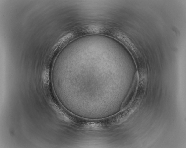 X0000115770585200911131219