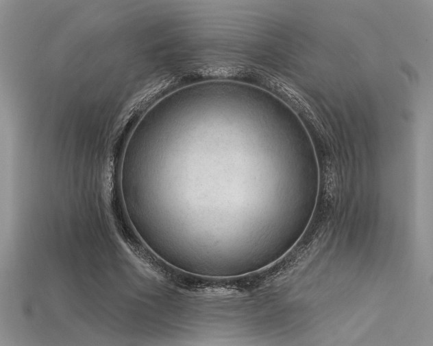 X0000115770586200911131219