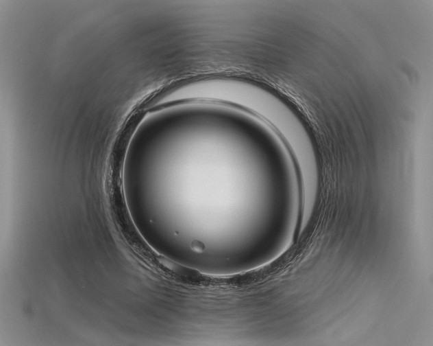X0000115770587200911131219