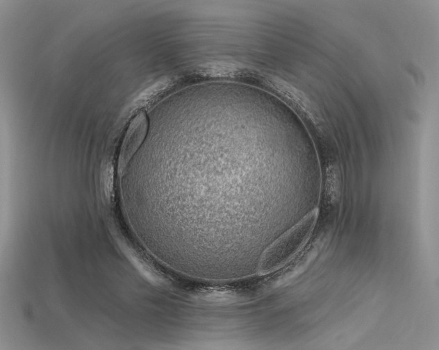 X0000115770589200911131219