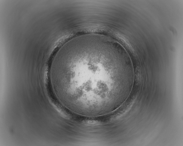 X0000115770590200911131219