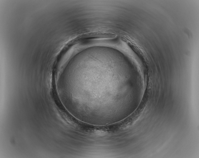 X0000115770592200911131219