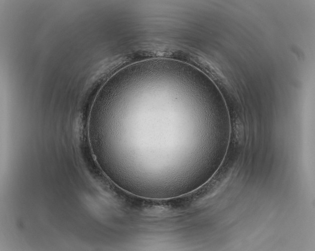 X0000115770594200911131219