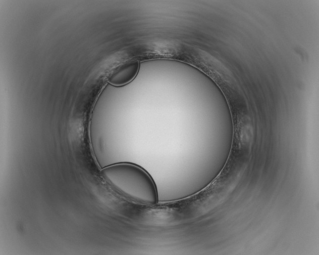 X0000115770595200911131219