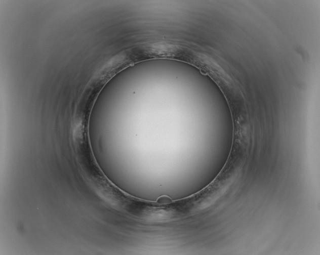 X0000115770597200911131219