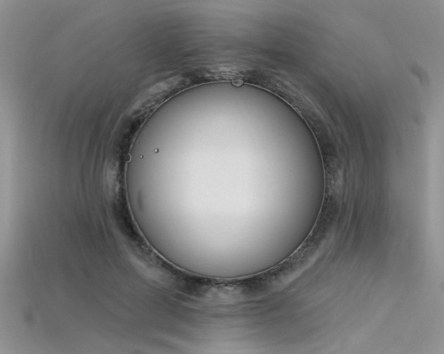 X0000115770599200911131219