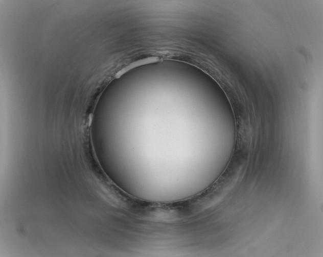 X0000115770601200911131219