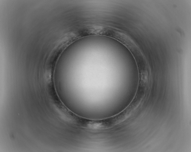 X0000115770602200911131219