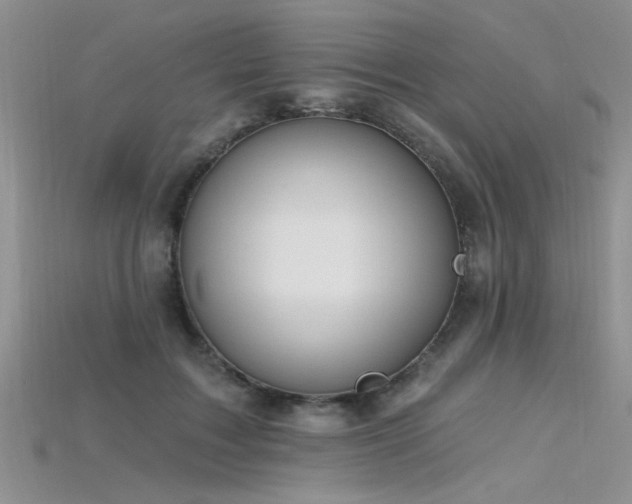 X0000115770603200911131219