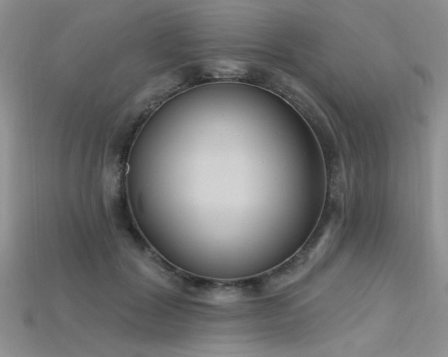 X0000115770604200911131219