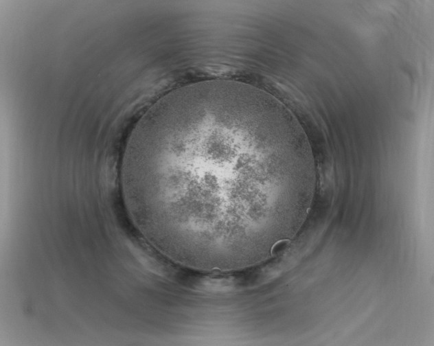 X0000115770606200911131219