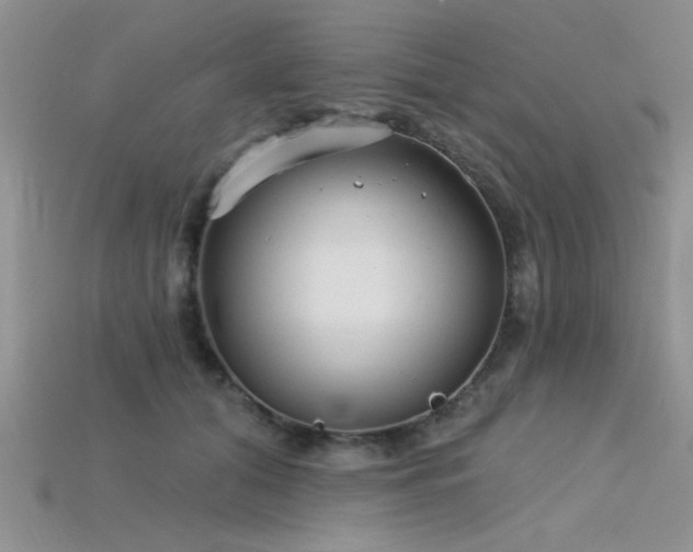 X0000115770608200911131218
