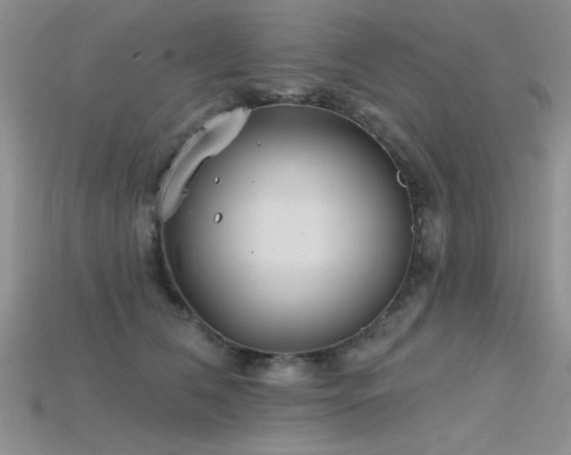 X0000115770612200911131218