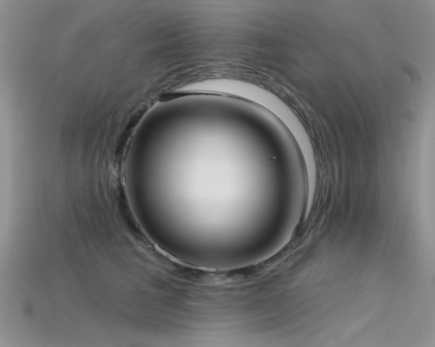 X0000115770613200911131218