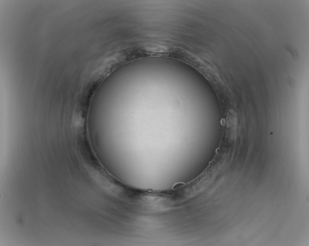 X0000115770614200911131218