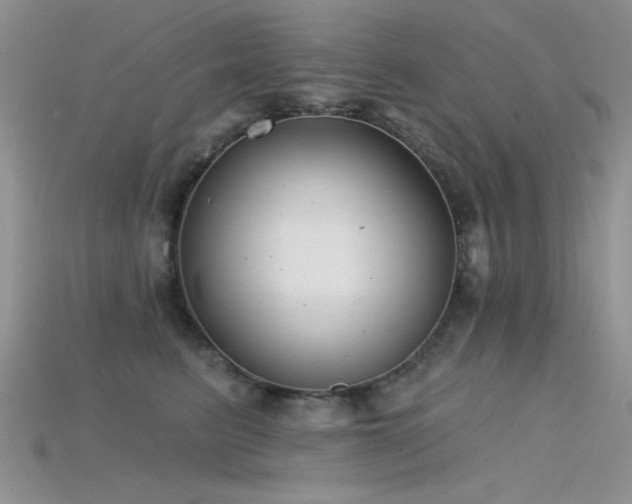 X0000115770615200911131218