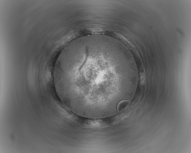 X0000115770618200911131218