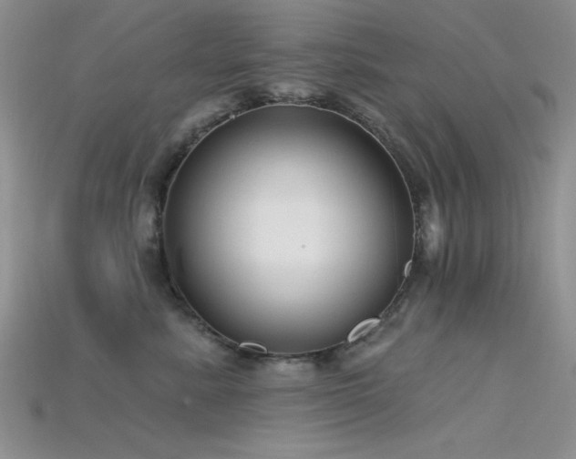 X0000115770619200911131218