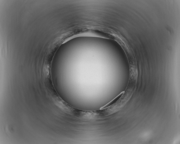 X0000115770621200911131218