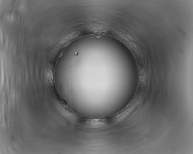 X0000115770622200911131218