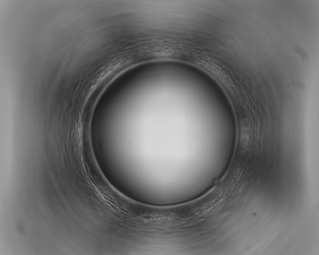 X0000115770626200911131218